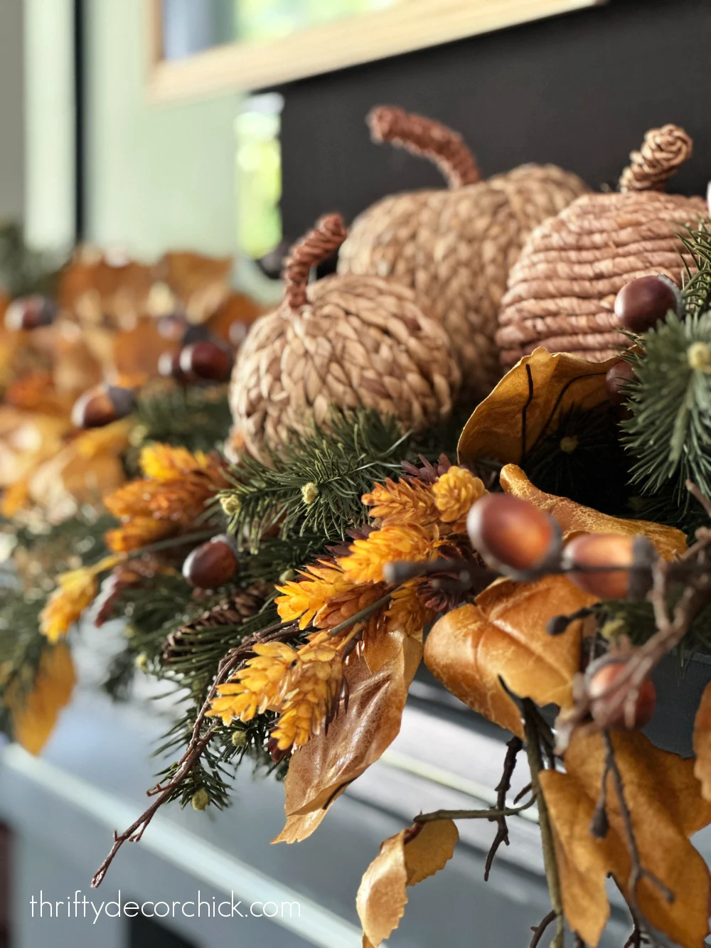 evergreens mixed with fall leaves